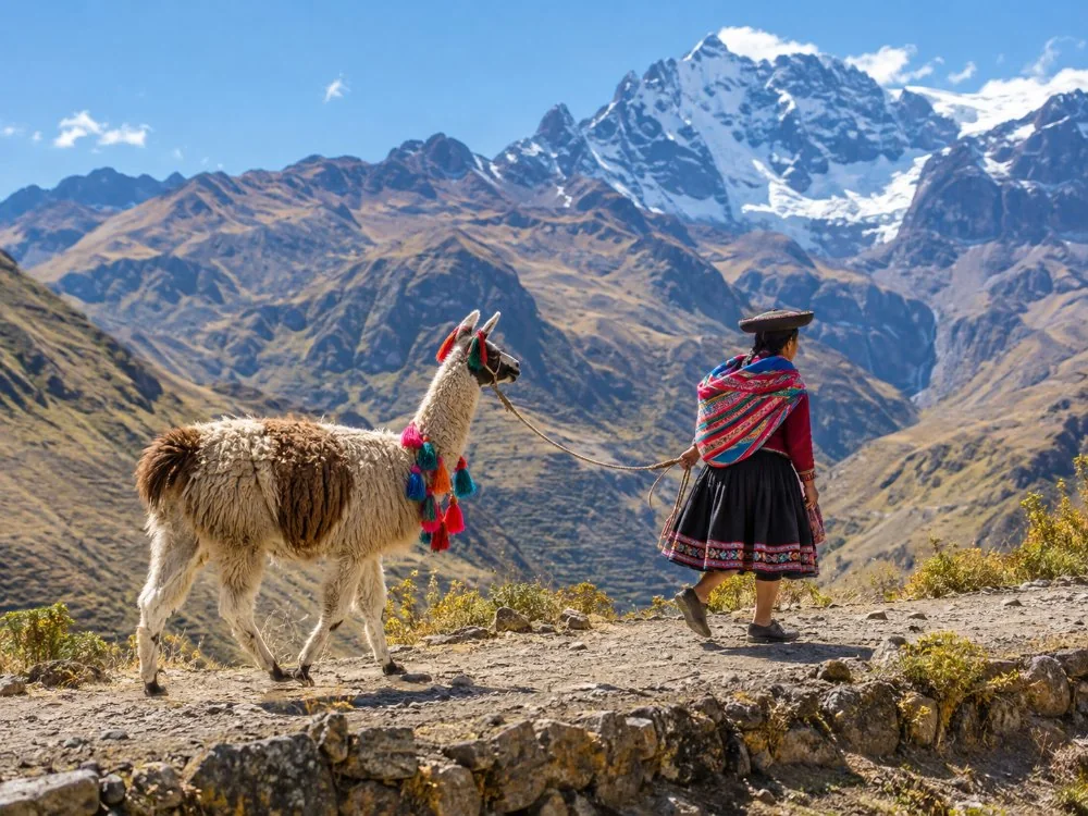 A woman in a traditional Andean hat and shawl walking a llama beside the trail